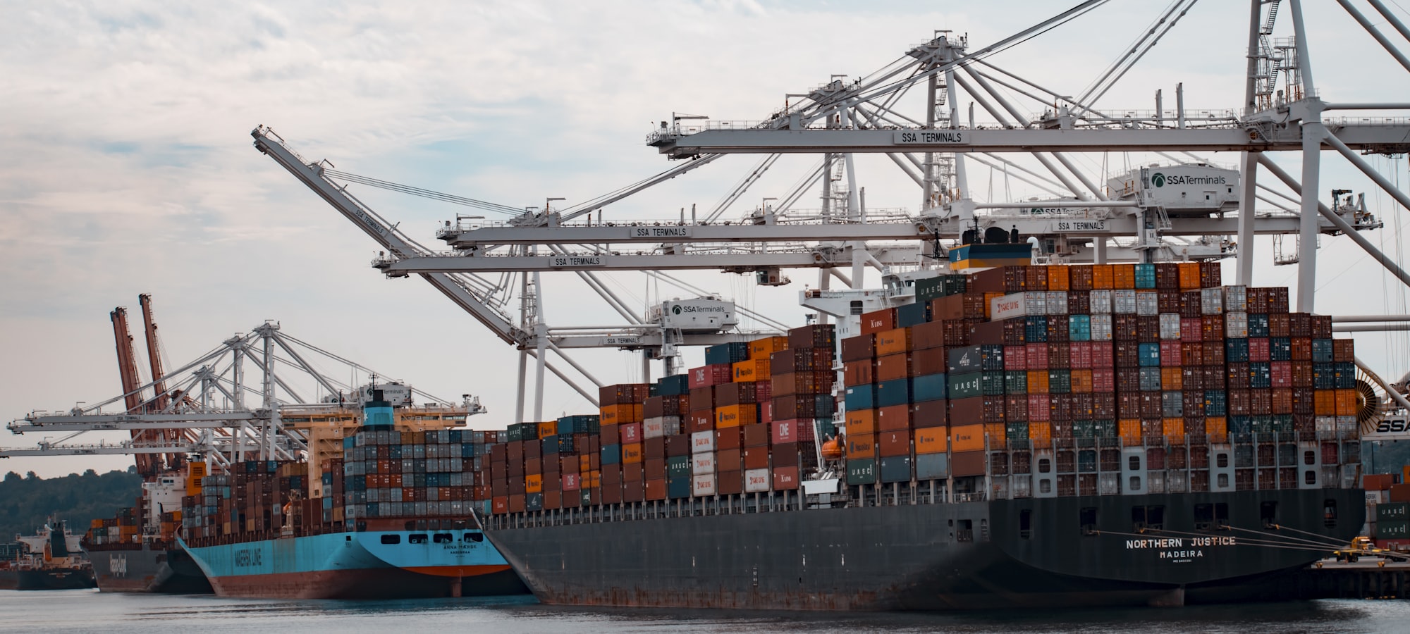 Container ships at a terminal under gantry cranes
